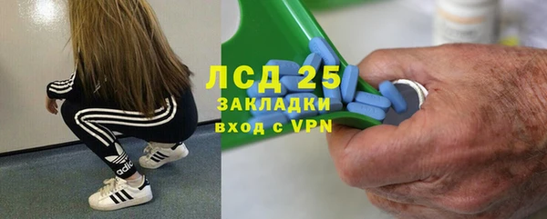 прущие грибы Балахна
