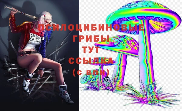 амф Баксан