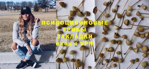 прущие грибы Балахна