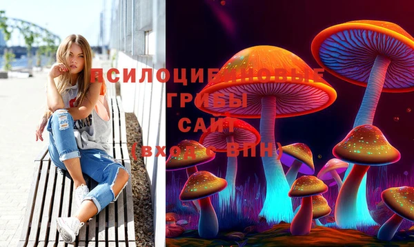 прущие грибы Балахна