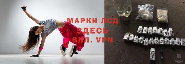 прущие грибы Балахна