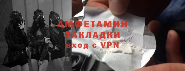 прущие грибы Балахна