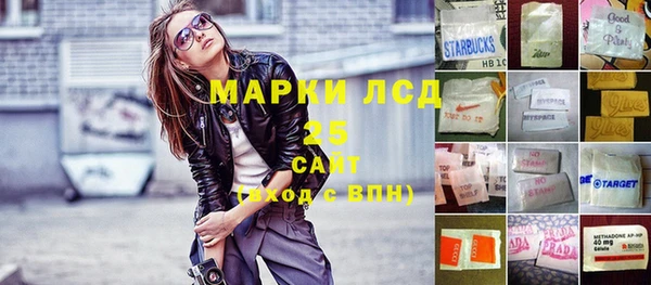 прущие грибы Балахна