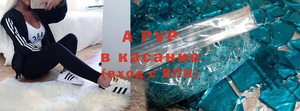прущие грибы Балахна