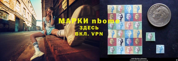 прущие грибы Балахна