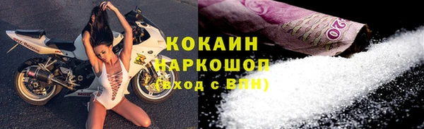 прущие грибы Балахна